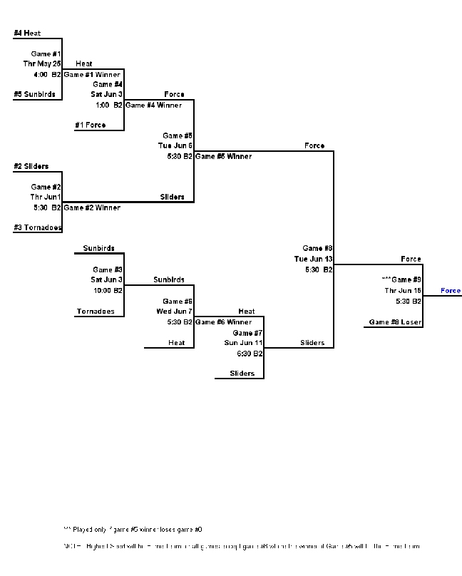 Softball AAA 2006 Playoffs