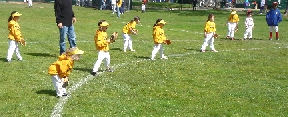 Softball TBall Fielders